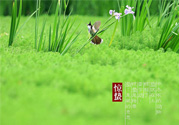驚蟄吃什么蔬菜好？驚蟄節(jié)氣養(yǎng)生吃什么蔬菜？