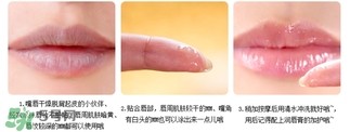 愛麗小屋唇部磨砂膏怎么樣？愛麗小屋唇部磨砂膏和悅詩風吟哪個好？