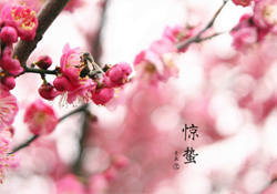 驚蟄如何養(yǎng)生？驚蟄前后如何養(yǎng)生？