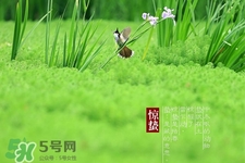 驚蟄節氣要注意什么？驚蟄節氣養生注意事項