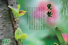 驚蟄節氣要注意什么？驚蟄節氣養生注意事項