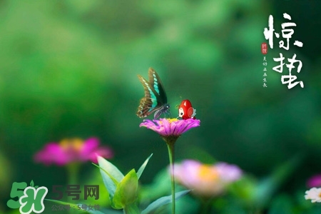 驚蟄如何養生？驚蟄前后如何養生？