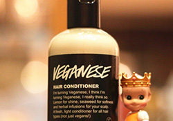 lush護發素哪個好？lush護發素推薦