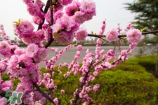 3月份能暖和嗎？一般幾月份開始天氣變暖？