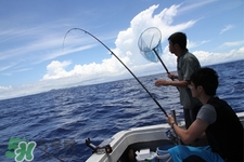 三月份可以釣魚了嗎？三月份好釣魚嗎？