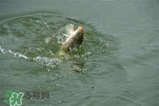 三月份可以釣魚了嗎？三月份好釣魚嗎？
