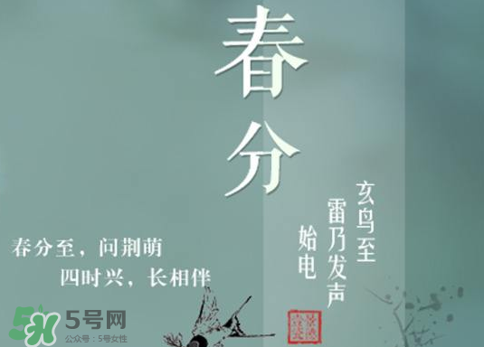 春分種什么菜？春分適合種什么菜？