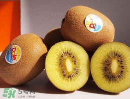 奇異果多少錢一斤？奇異果多少錢一個？