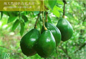 牛油果可以放多久？牛油果放冰箱能放多久？