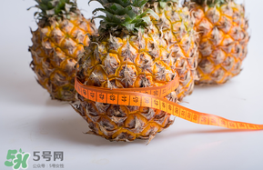 三月份什么水果上市？3月份什么水果上市？