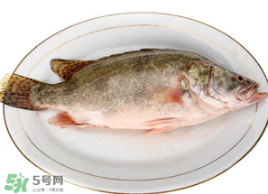 三月份吃什么魚？3月份吃什么魚好？