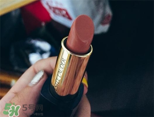 雅詩(shī)蘭黛envy110多少錢(qián)？雅詩(shī)蘭黛傾慕唇膏110價(jià)格