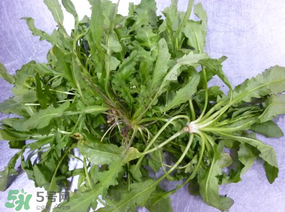 薺菜怎么保鮮？新鮮薺菜如何保鮮？