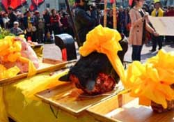 春分可以祭祀嗎？祭祀在春分前還是后？