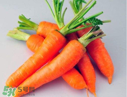 薺菜能和胡蘿卜一起吃嗎？薺菜可以和胡蘿卜一起吃嗎？