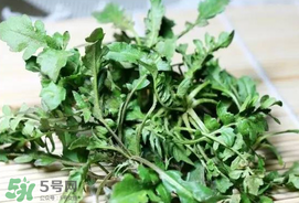 薺菜能和青菜一起吃嗎？薺菜和青菜一起吃好嗎？