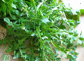 薺菜上有白點(diǎn)能吃嗎？薺菜背面有白點(diǎn)是什么？