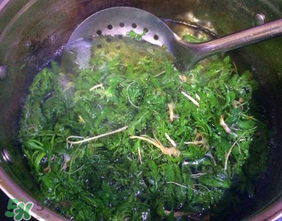 薺菜怎么焯水？薺菜焯水多久？