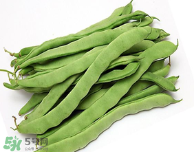 三月份可以種豆角嗎？豆角幾月份種？