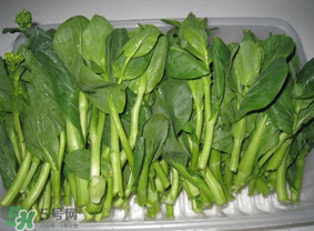 青菜苔可以吃嗎？青菜苔怎么做好吃？
