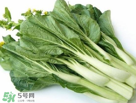青菜苔可以吃嗎？青菜苔怎么做好吃？