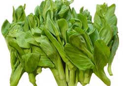 青菜苔可以吃嗎？青菜苔怎么做好吃？