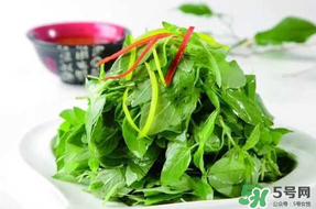 薺菜不能和什么一起吃？薺菜和什么相克？