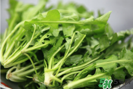 薺菜不能和什么一起吃？薺菜和什么相克？