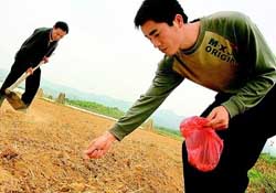 三月份可以種花生嗎？花生幾月份播種比較好？