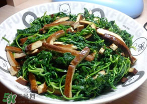 薺菜吃多了會中毒嗎？吃薺菜中毒怎么辦？