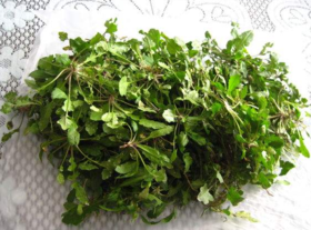 野生薺菜幾月份有？野生薺菜什么時候有？