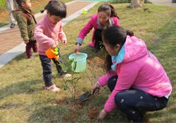 植樹節一般種什么樹？植樹節種什么樹比較好？