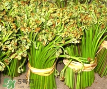 蕨菜有什么營養 野蕨菜的營養價值