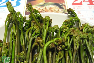 蕨菜為什么苦？蕨菜苦是怎么回事？