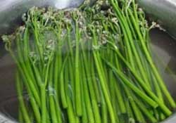 蕨菜怎么洗？蕨菜怎么清洗才干凈？