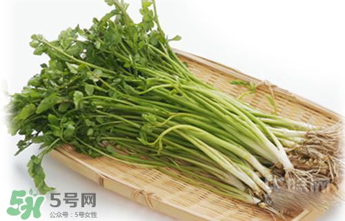吃野芹菜會中毒嗎？吃野芹菜中毒了怎么辦？