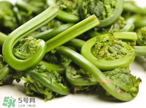 蕨菜怎么洗？蕨菜怎么清洗才干凈？