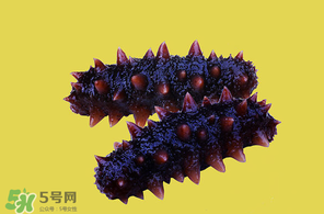 春天能吃海參嗎？春天吃海參效果好嗎？