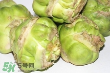 芥菜頭的營養價值 芥菜頭的功效與作用