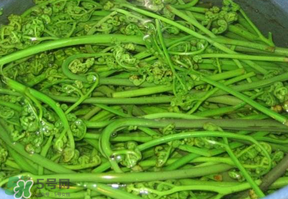 蕨菜怎么洗？蕨菜怎么清洗才干凈？