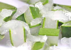 出水痘能用蘆薈膠嗎？水痘破了能擦蘆薈膠嗎？