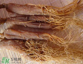 春天能吃紅參嗎？春天可以吃紅參嗎？
