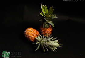 春天可以吃菠蘿嗎？春天吃菠蘿有什么好處？