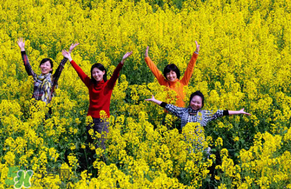 四月份還有油菜花嗎？4月份還有油菜花嗎？