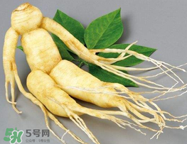 春天能吃高麗參嗎？春天可以喝高麗參湯嗎？