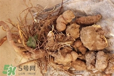 何首烏的營養價值 何首烏的功效與作用