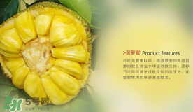 菠蘿蜜和榴蓮的區別 菠蘿蜜和榴蓮哪個好吃？