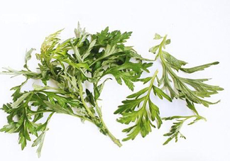 艾草可以治痛經嗎？艾草能治月經不調嗎？