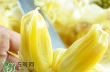 菠蘿蜜怎么吃？菠蘿蜜好吃嗎？