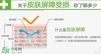 玉澤和至本哪個好？玉澤和至本區別對比